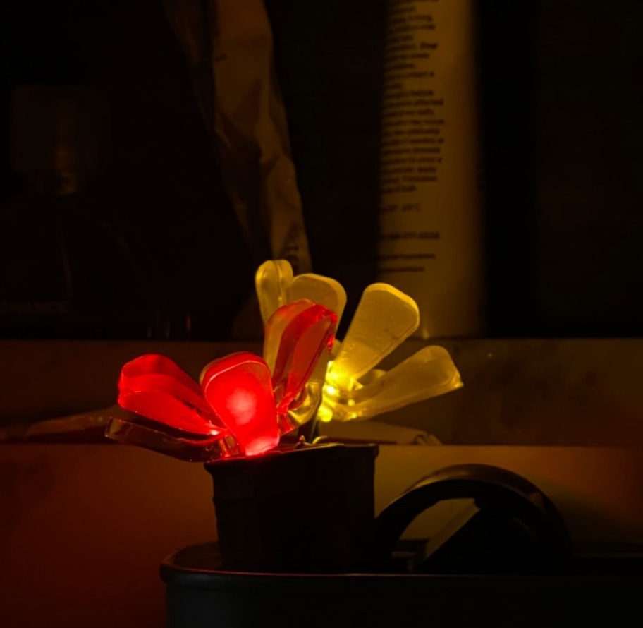 A nightlight with mysterious crystalline flowers (one red, one yellow) dimly lighting a bathroom scene.