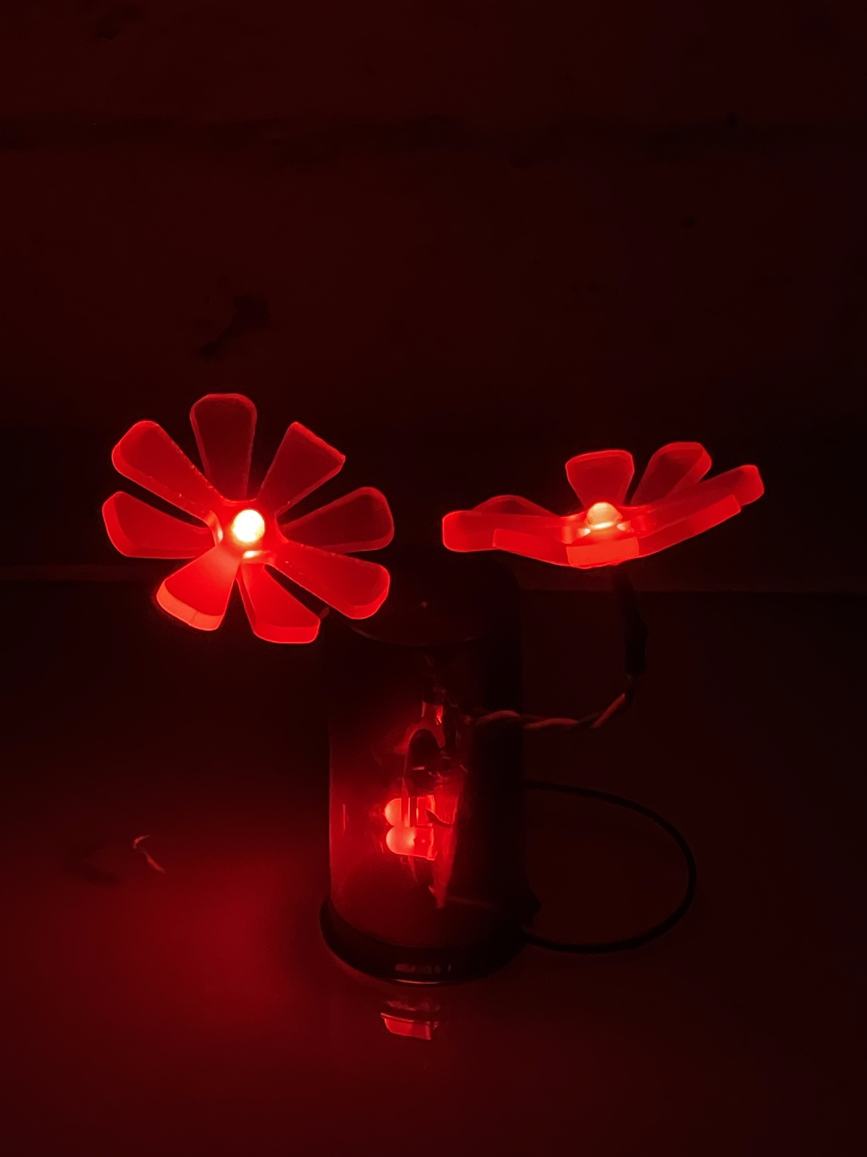 A different version of the flower lights with one petal clipped, and two red flowers snaking off an independently lit body.