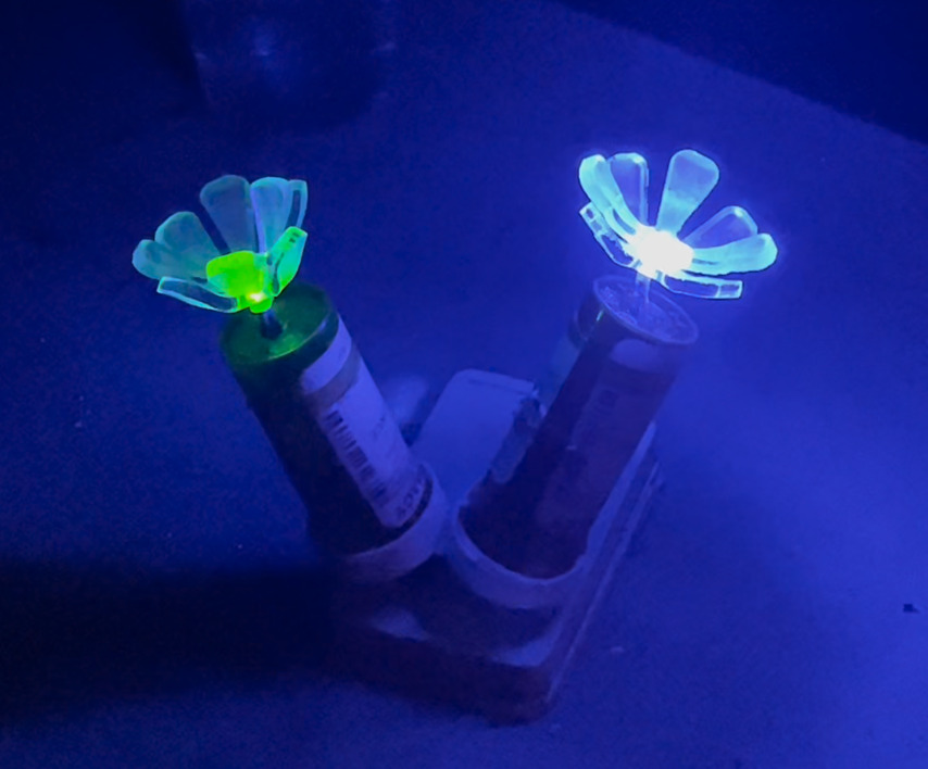 A green and blue flower set, in this light, you can see the 'buds' of lights are used pill bottles