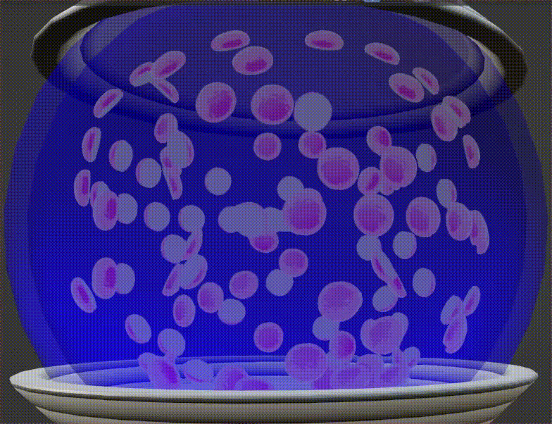 moon jellies in a container