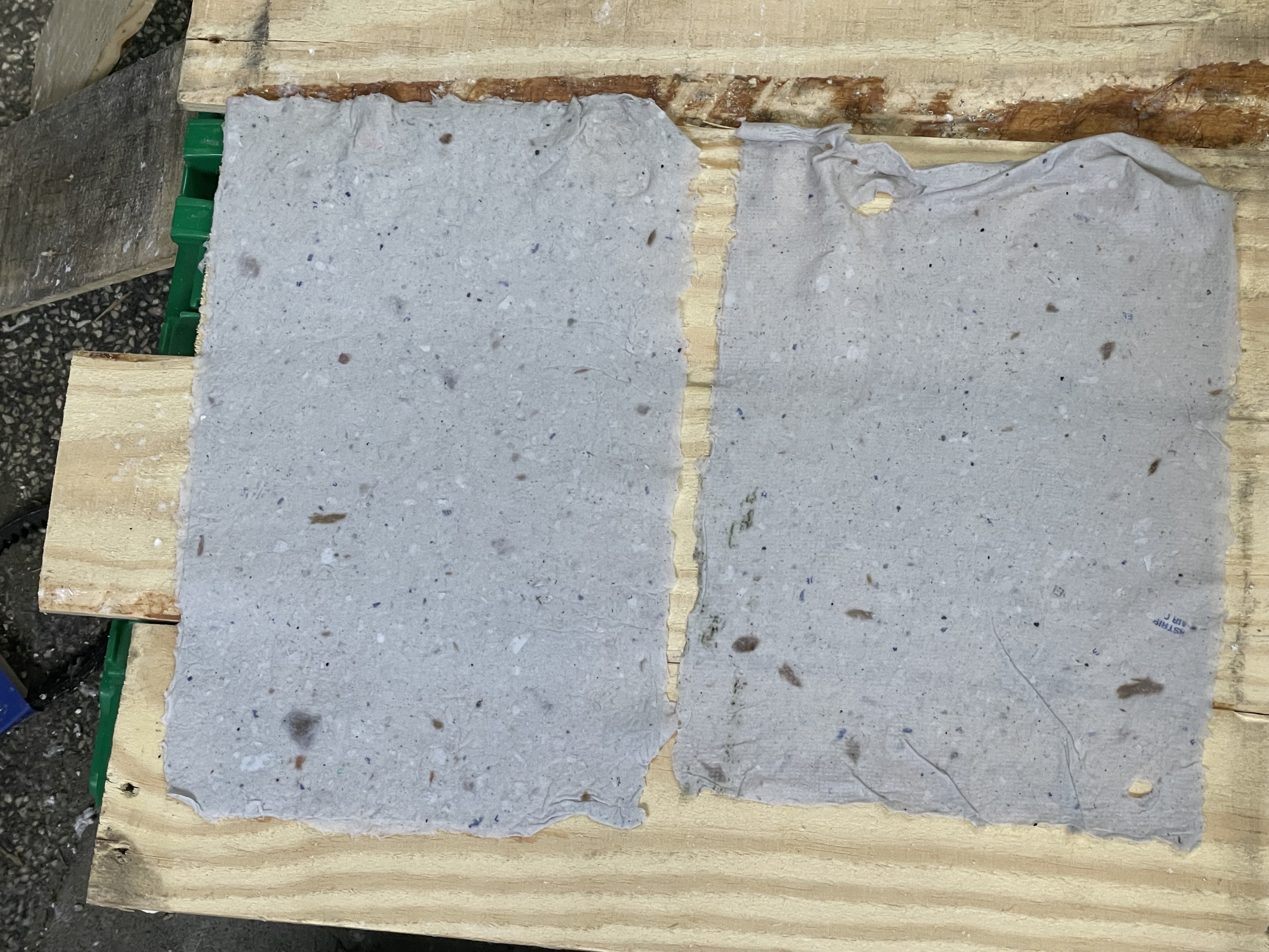 Paper drying on a rack